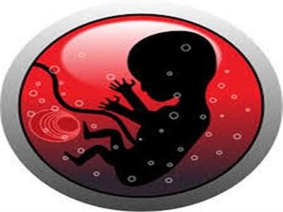 استشاري الحقن المجهري يوضح طرق تنشيط التبويض ونسب حدوث الحمل بها