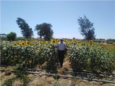 الزراعة تتابع دور محطة رأس سدر لبحوث الصحراء في خدمة أهالي سيناء