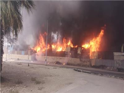 عميد زراعة القاهرة: السيطرة على حريق في محطة التجارب الزراعية