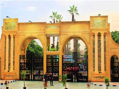 جامعة المنصورة تتوصل لمركب يحمي محصول الفول من آفة مدمرة