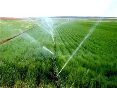 حقيقة امتناع الحكومة عن توفير حصص مياه الري اللازمة للزراعات خلال الموسم الحالي