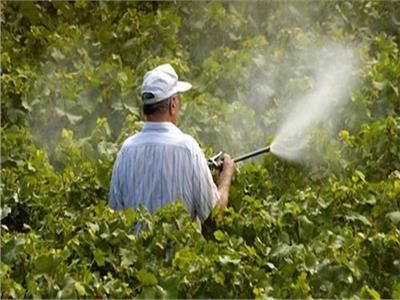 «الزراعة» و«يونيدو» تطلقان حملة توعوية مصورة لتعزيز التداول الآمن للمبيدات