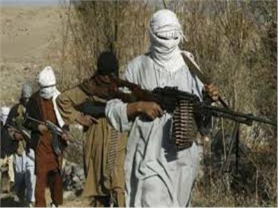 مقتل 7 من مسلحي طالبان في هجمات استباقية جنوبي أفغانستان