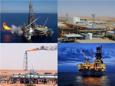 رئيس غرفة الأمريكية بالقاهرة : قطاع البترول والغاز يعد بمثابة المحرك للاقتصاد المصري