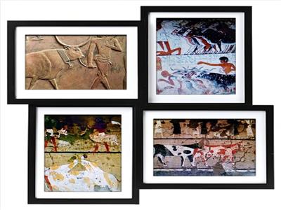 حكاية الحج والذبح "على الطريقة الإسلامية" عند المصريين القدماء