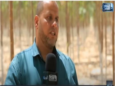 بالفيديو | خبير زراعي:  إنتاج أول شتلات لأشجار الباولونيا بإشراف جامعة عين شمس