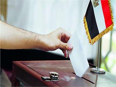 فيديو| اتحاد المصريين بالخارج: التصويت بالبريد يشجع على المشاركة فى الانتخابات