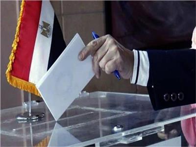 الجاليات المصرية بأوروبا: اجتماعات عبر الفيديوكونفرانس لمتابعة «تصويت الشيوخ»