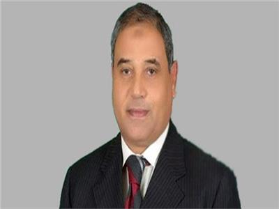 برلماني: ثورة 30 يونيو منحت المصريين حق التعبير بحرية 