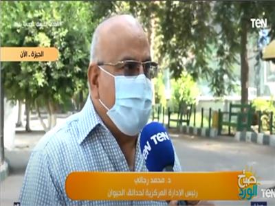 فيديو| اللواء محمد رجائي: «حديقة الحيوان» لم تتوقف عن العمل خلال كورونا