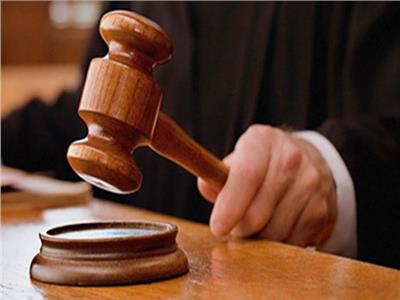 الثلاثاء.. إعادة محاكمة 3 متهمين بـ«أحداث الذكرى الثالثة لأحداث يناير»