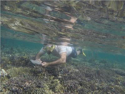 صور|جنوح مركب سياحي بمنطقة الشعاب المرجانية بالقرب من محمية جزر البحر الأحمر