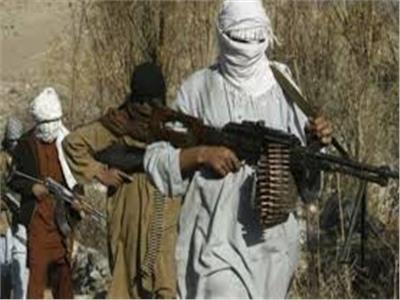 مقتل وإصابة 52 مسلحا من طالبان إثر اشتباكات مع قوات الأمن الأفغاني