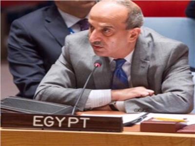 عبد الخالق: رئاسة مجلس السلم الإفريقي محطة جديدة للريادة المصرية