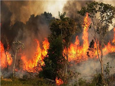 حرائق غابات قياسية بكاليفورنيا تدمر 4 ملايين فدان