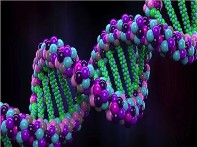 بعد فوز عالمتين بـ«نوبل» للكيمياء|«المقص الجيني» ثورة في علم الجينوم  
