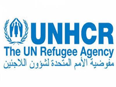 المفوضية العليا لشئون اللاجئين تحذر من تدهور أوضاع 7800 لاجئ وطالب لجوء