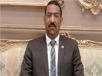 نائب بالشيوخ: المجلس يثري الحياة النيابية في مصر‎