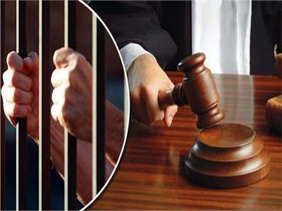 المشدد 10 سنوات لعامل حاول «التهام» براءة طفلتين بالشرقية