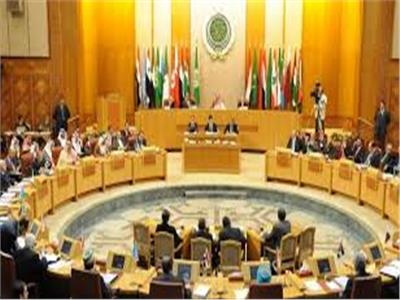 رئيس بعثة الجامعة العربية: خطة لمتابعة انتخابات مجلس النواب بعدد من المحافظات