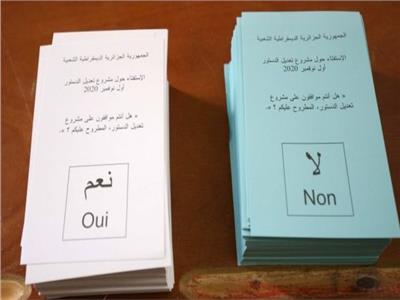 الجزائر.. نسبة المشاركة في استفتاء تعديل الدستور تبلغ 13% عصر اليوم