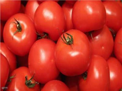 نقيب الفلاحين يكشف أسباب ارتفاع أسعار الطماطم وموعد انخفاضها