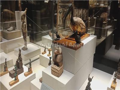  كنوز «متحف كفر الشيخ» بالفيديو والصور