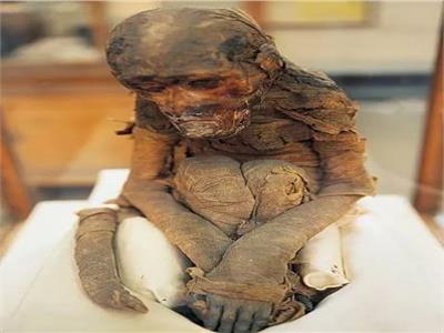 قصة صورة| «ميمون» الفرعوني.. القرد المصري الحزين    