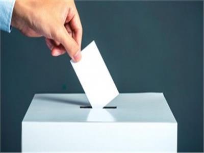انتخابات النواب 2020 | 7 خطوات للتصويت في لجنتك .. تعرف عليها