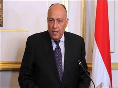 وزير الخارجية: لا نقبل بالتدخلات الخارجية في الشأن العربي