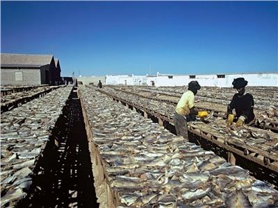 استئناف الصيد في موريتانيا بعد توقف لمدة شهر