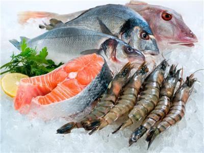 بورصة أسعار الأسماك في سوق العبور.. المكرونة السويسي بـ65 جنيهًا