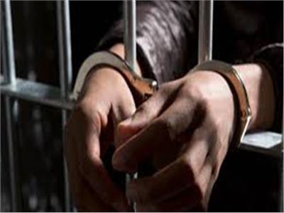 حجز المحامي المتهم بسرقة بطتين في دمنهور