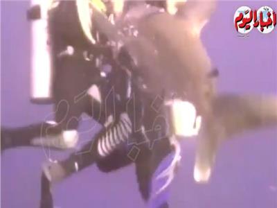شاهد| شجاعة مرشد غوص مصري تنقذ سائحة من «هجوم قرش»