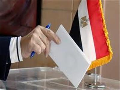 19.12 %.. نسبة التصويت في جولة الإعادة بـ«جنوب سيناء»
