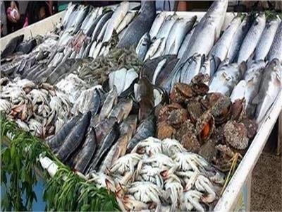 أسعار الأسماك في سوق العبور اليوم..  كليو الماكريل 35 جنيهًا