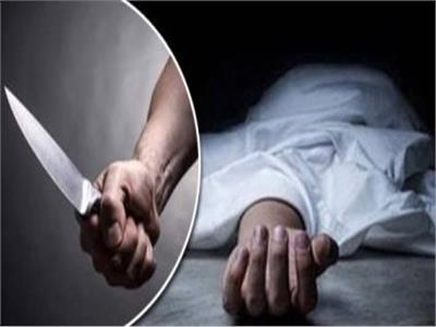 حبس شاب قتل شقيقه في مشاجرة بمنشأة ناصر