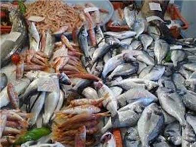 «شحنة أسماك» و«أطنان من اللحوم الفاسدة».. الأبرز بضربات تموين القليوبية 