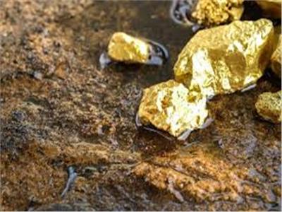 الجزائر ترخص لـ57 مؤسسة وطنية للتنقيب عن الذهب في الصحراء