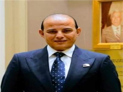 قطامي: قرار الرئيس السيسي بتطوير 1500 قرية «غير مسبوق»