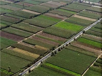 حصاد 2020 | بالأرقام.. إنجازات «الريف المصري» في الـ 1.5 مليون فدان 
