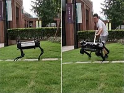 الكلب الآلي «Jueying» يتعافى تلقائيًا إذا تعرض لهجوم بشري | صور 