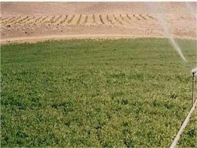 تحذير من «الريف المصري» بشأن بيع أراضي مشروع الـ 1.5 مليون فدان 