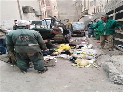 حملة مكبرة لإزالة القمامة والإشغالات في قرى المنيا.. صور
