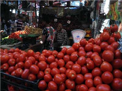 بعد انخفاض أسعار الخضر والفاكهة.. كيف نحصد ثمار استراتيجية الدولة الزراعية؟