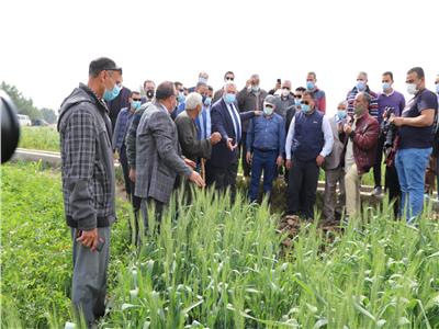 وزير الزراعة يتفقد حقول القمح ويتابع مراكز تجميع الألبان بالفيوم| صور
