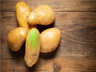 احذر.. بقع البطاطس الأخضر والبنفسجى «سامة»