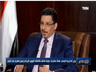 وزير الخارجية اليمني: الوضع السياسي والاقتصادي في البلاد هش.. فيديو