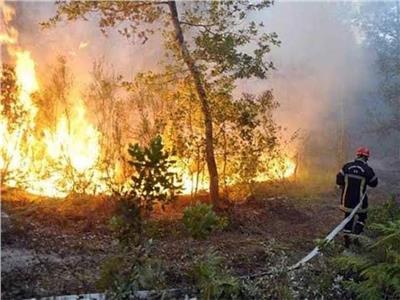 السيطرة على حريق في «زراعات القصب» بقنا 