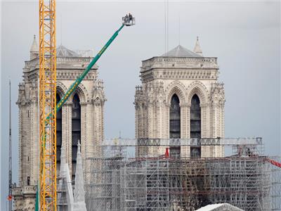 فرنسا تبحث عن أشجار البلوط لترميم كاتدرائية نوتردام